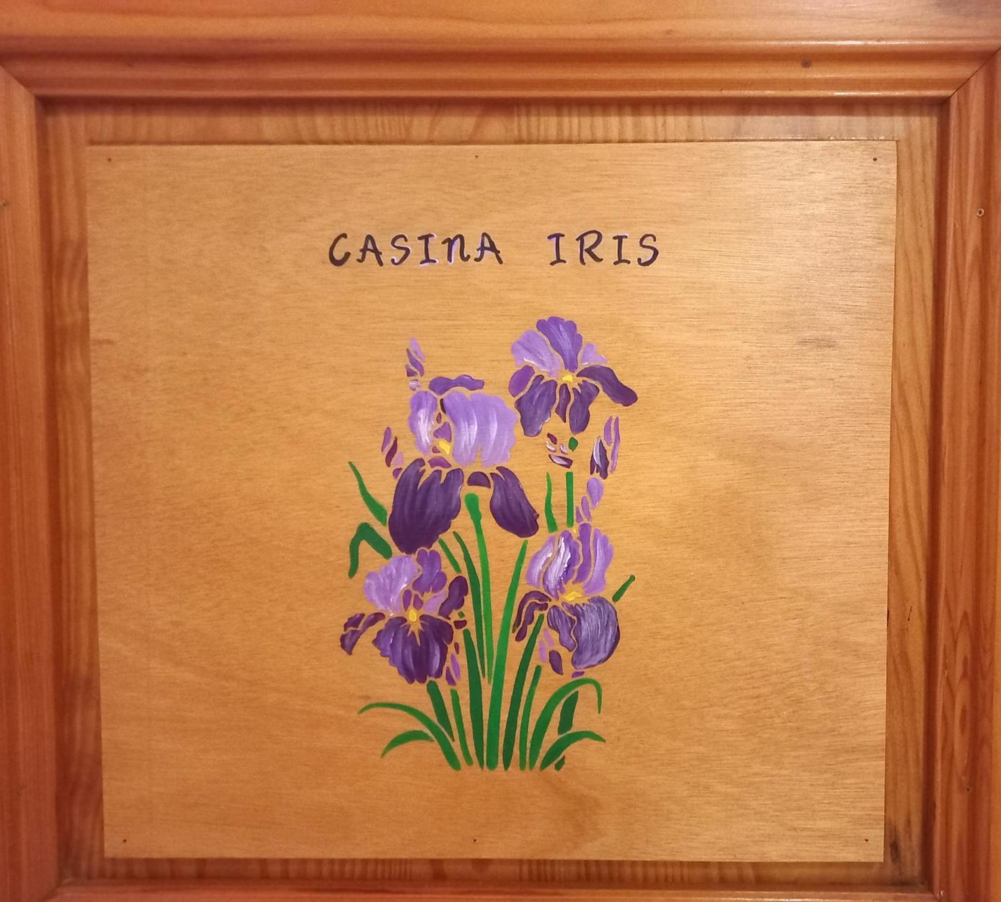 Casina Iris - Reggello公寓 外观 照片